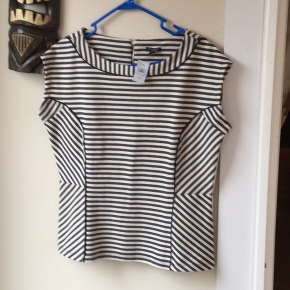 Ann Taylor Tops - NWT Ann Taylor knit top Sz large petite